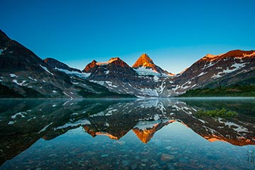 电话炸弹防护业务